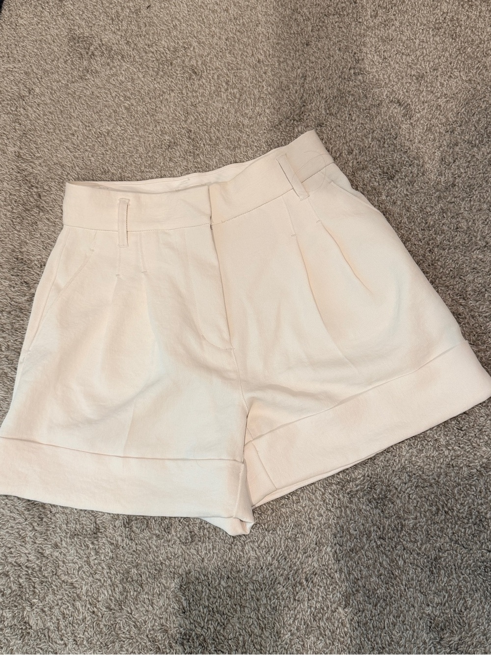 Aritzia Pleated Shorts